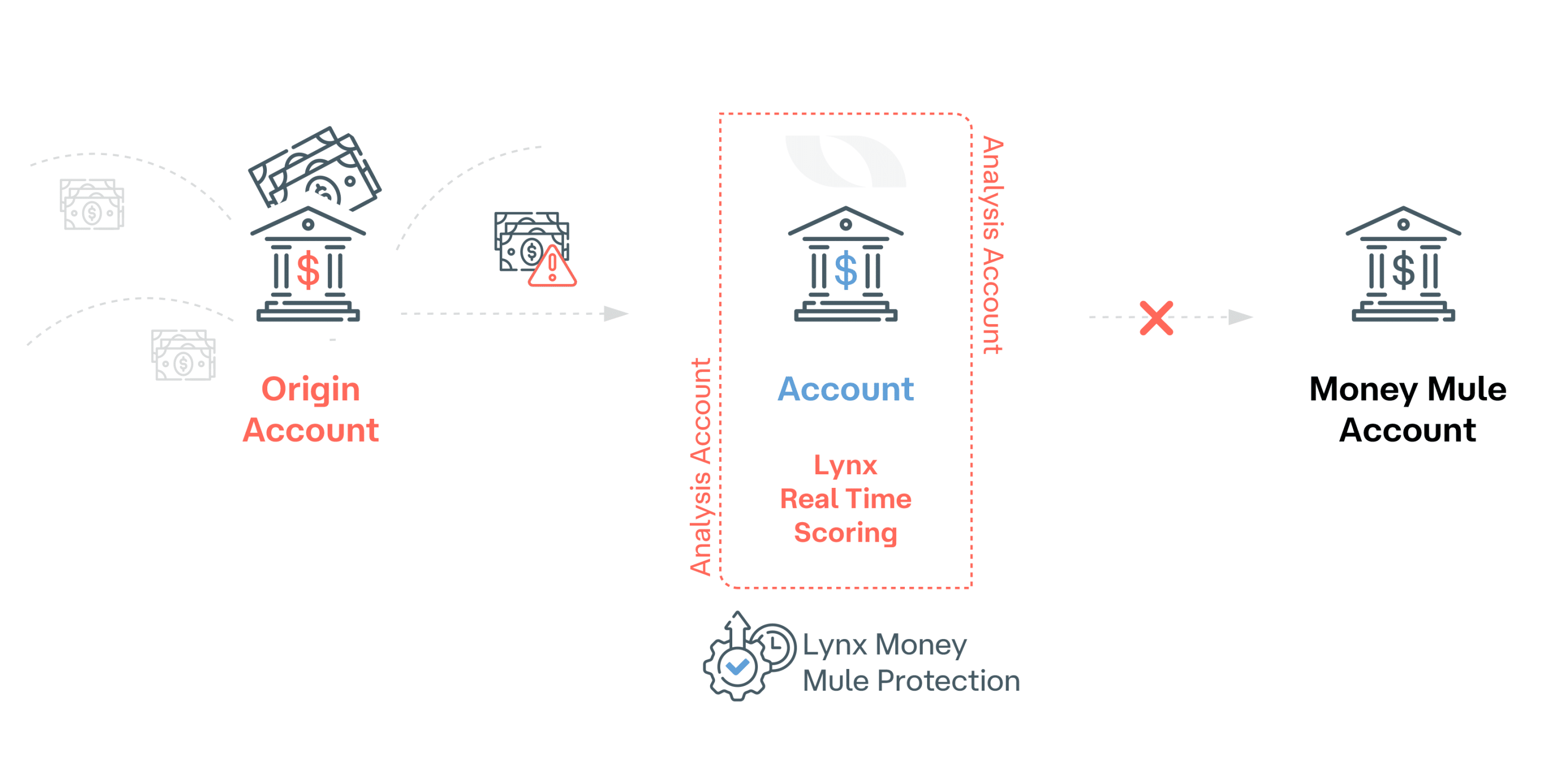 Identify Money Mule accounts with Lynx